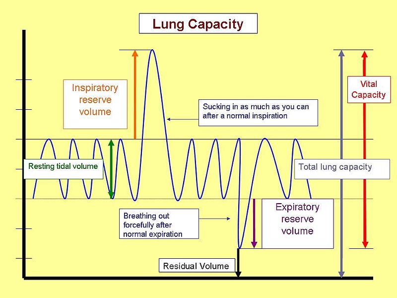 Difference-Between-Forced-Vital-Capacity-and-Vital-Capacity